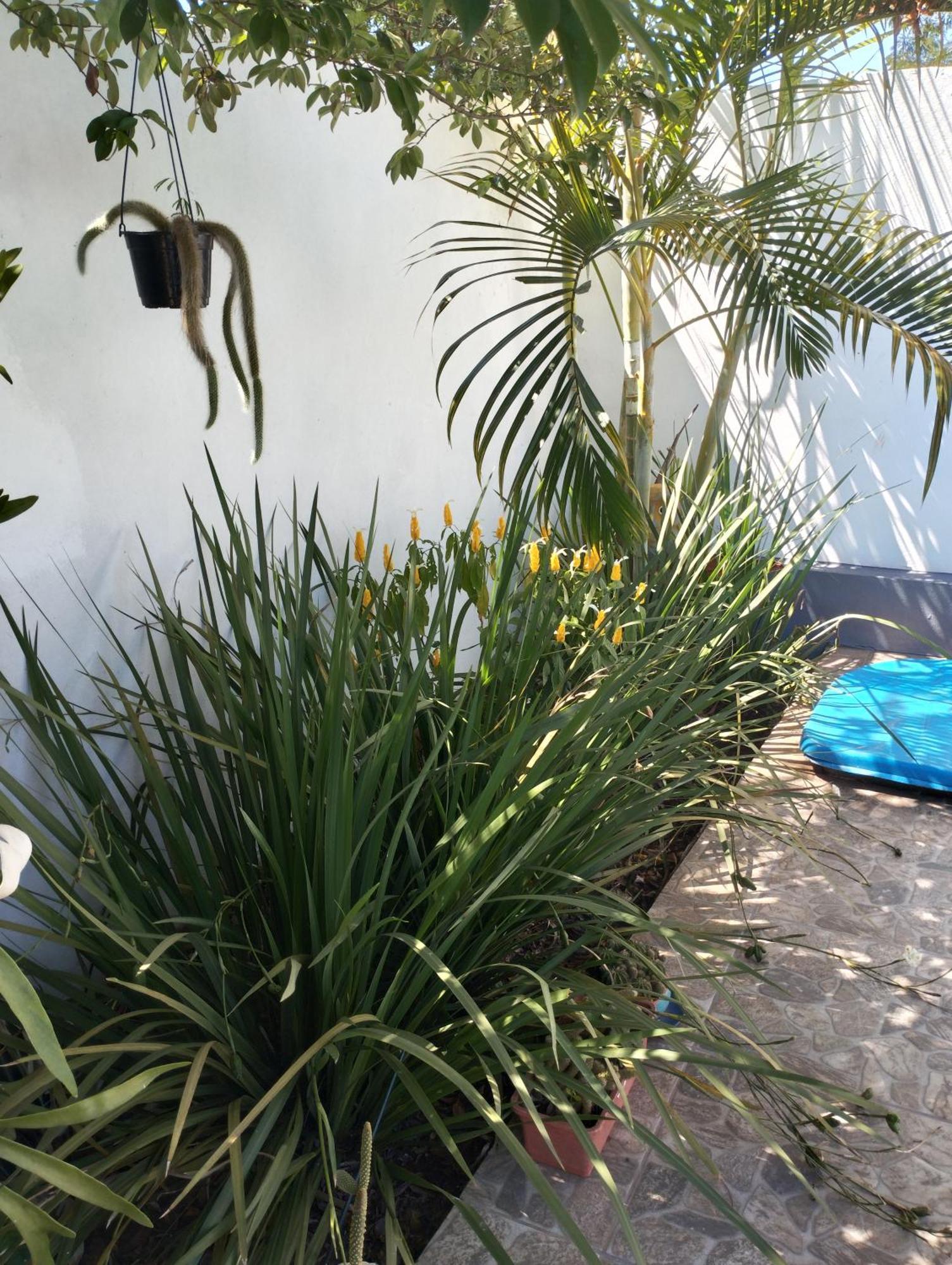 Apartmán Brisas Iguazu Puerto Iguazú Exteriér fotografie